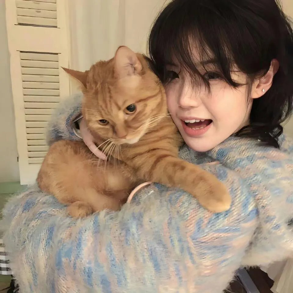 猫片之无喵生还